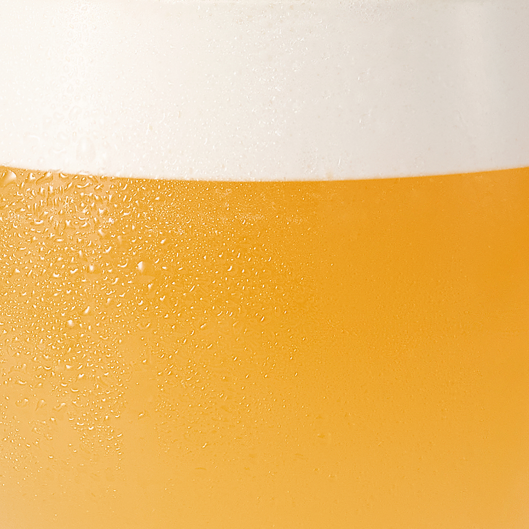 Koji & Lemon Ale